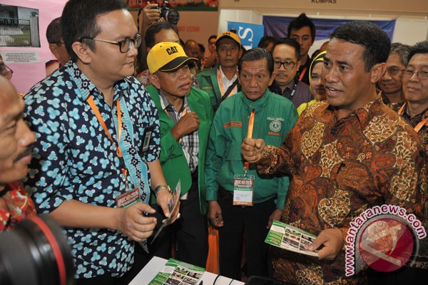 Minister of Agriculture: Palm oil should be supported as it is strategic