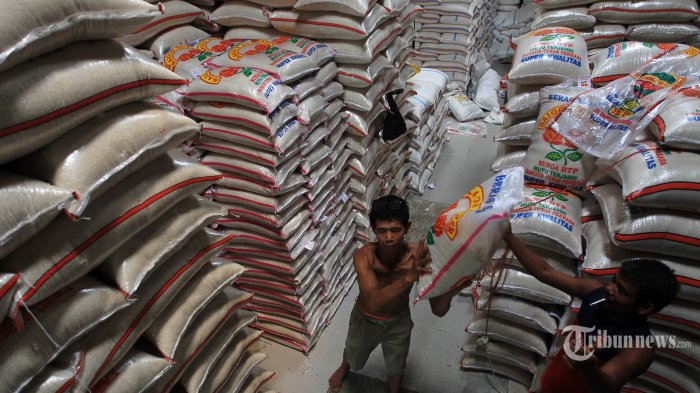 Anticipating El Nino, Government Considering Rice Imports from Pakistan and India