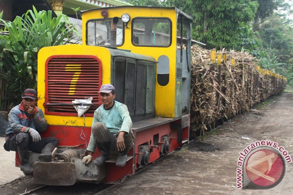 The construction of a sugar factory in Southeast Sulawesi faces land constraint