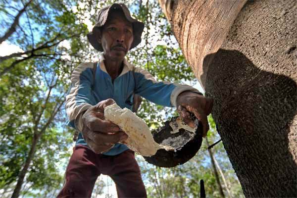 RUBBER PRICES MAY 19: Rubber Turns Higher on US Economic Data, Oil Prices