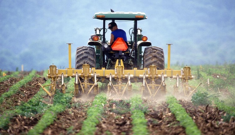 Here Are 6 Potential Impacts of COVID-19 on the Agriculture Sector