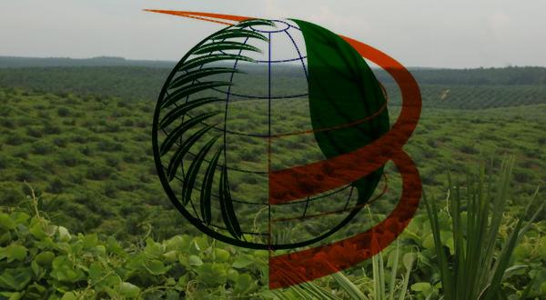 State-Owned Plantation Company Embraces Covid-19 Prevention Protocols