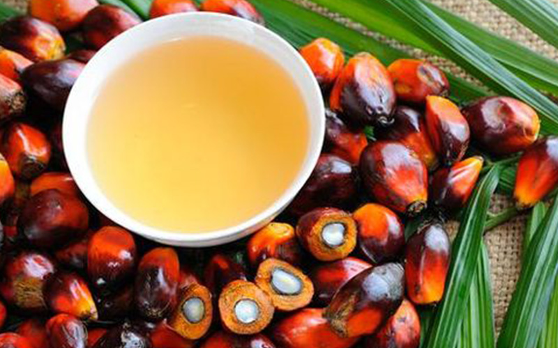 KPBN CPO Tender Price, July 7, 2022 Agreed at Rp 6,755/Kg