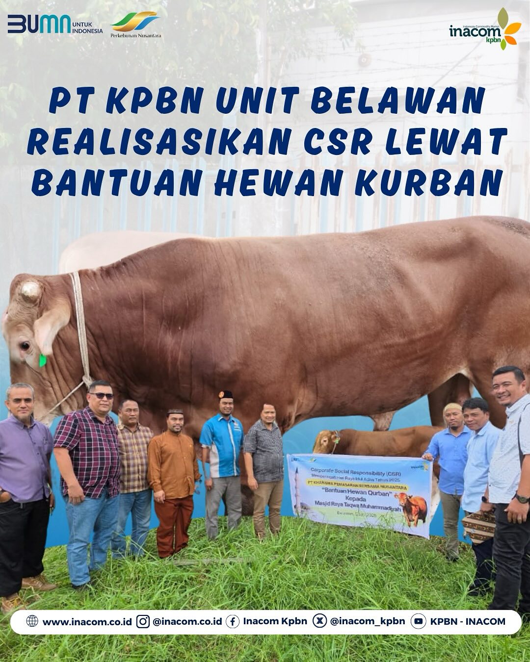 PT KPBN UNIT BELAWAN REALISASIKAN CSR LEWAT BANTUAN HEWAN KURBAN